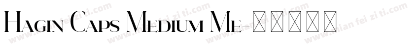 Hagin Caps Medium Me字体转换